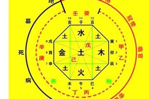 八字喜水金